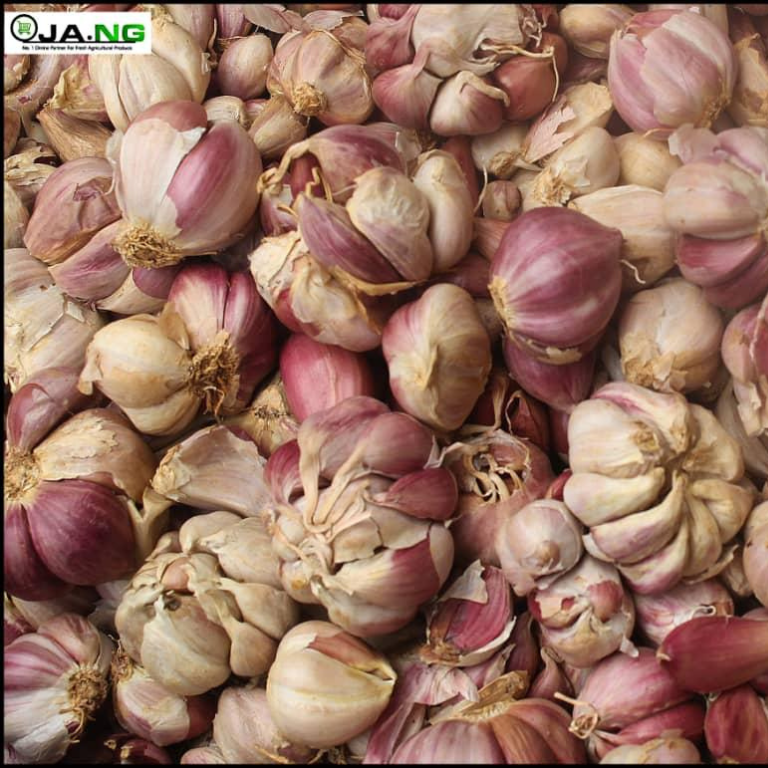 Garlic