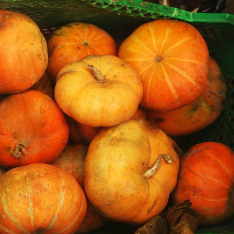 Pumpkin